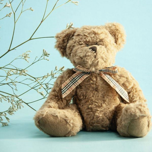 artigo: O que é na verdade uma Relação Afetiva e quais tipos existem?